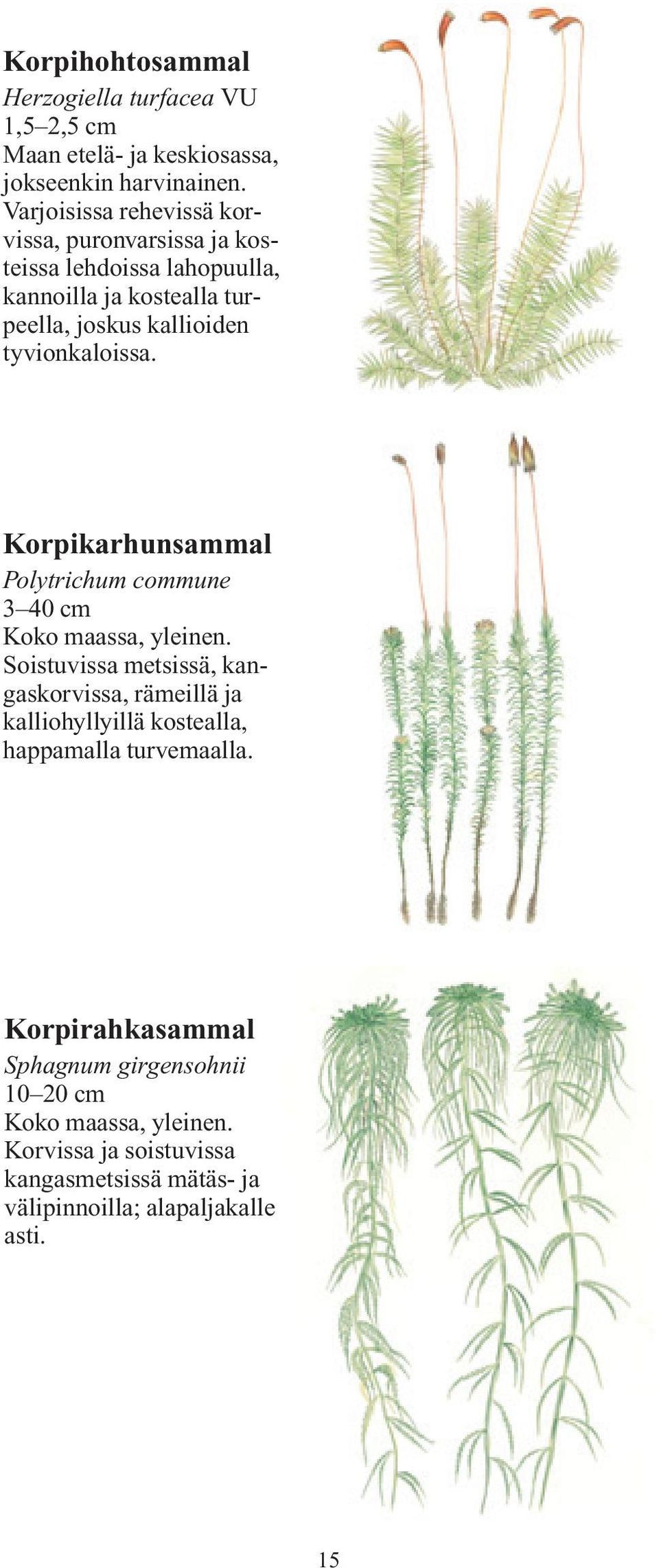 tyvionkaloissa.