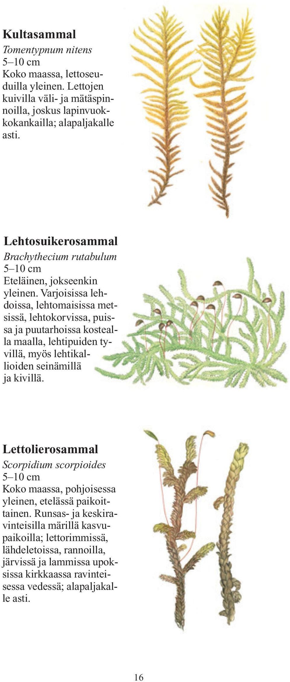 Varjoisissa lehdoissa, lehtomaisissa metsissä, lehtokorvissa, puissa ja puutarhoissa kostealla maalla, lehtipuiden tyvillä, myös lehtikallioiden seinämillä ja kivillä.