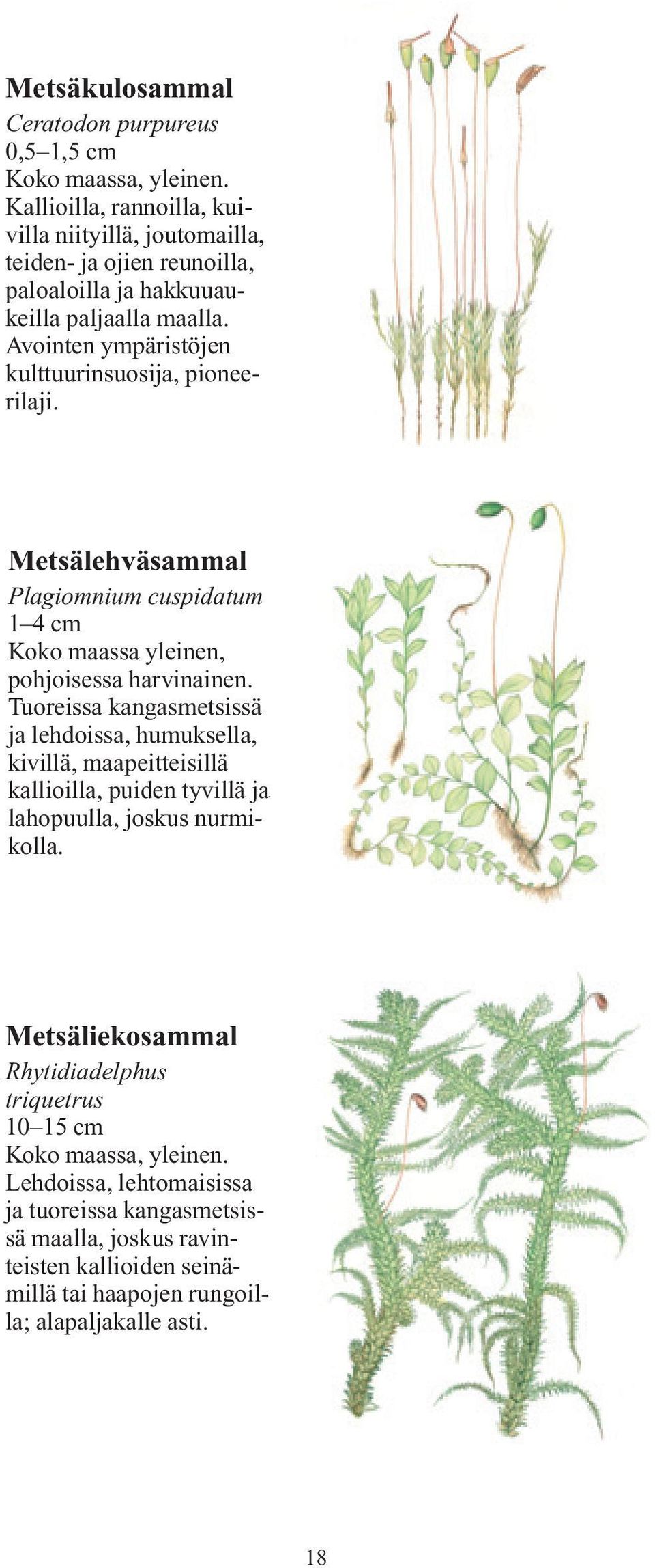 Tuoreissa kangasmetsissä ja lehdoissa, humuksella, kivillä, maapeitteisillä kallioilla, puiden tyvillä ja lahopuulla, joskus nurmikolla.