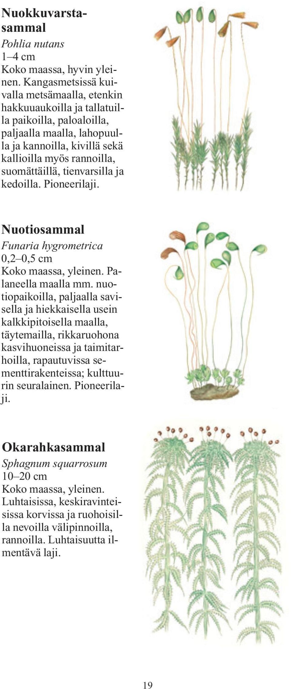 suomättäillä, tienvarsilla ja kedoilla. Pioneerilaji. Nuotiosammal Funaria hygrometrica 0,2 0,5 cm Palaneella maalla mm.