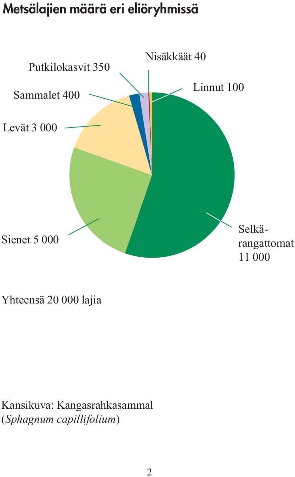 Sienet 5 000 Selkärangattomat 11 000 Yhteensä 20 000