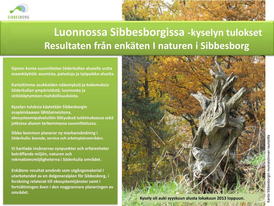 Kyselyn tuloksia käytetään Sibbesborgin osayleiskaavan lähtöaineistona, ekosysteemipalveluihin liittyvässä tutkimuksessa sekä jatkossa alueen tarkemmassa suunnittelussa.