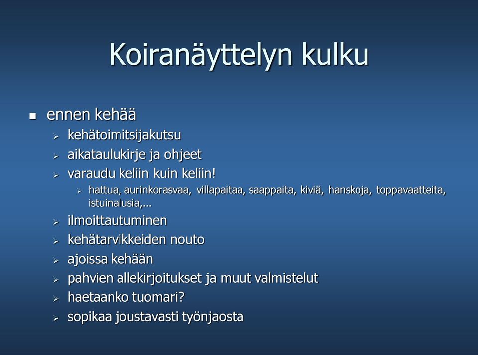 hattua, aurinkorasvaa, villapaitaa, saappaita, kiviä, hanskoja, toppavaatteita,