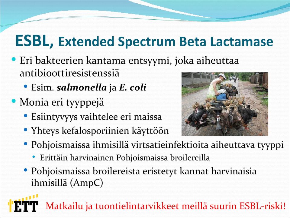 coli Monia eri tyyppejä Esiintyvyys vaihtelee eri maissa Yhteys kefalosporiinien käyttöön Pohjoismaissa ihmisillä