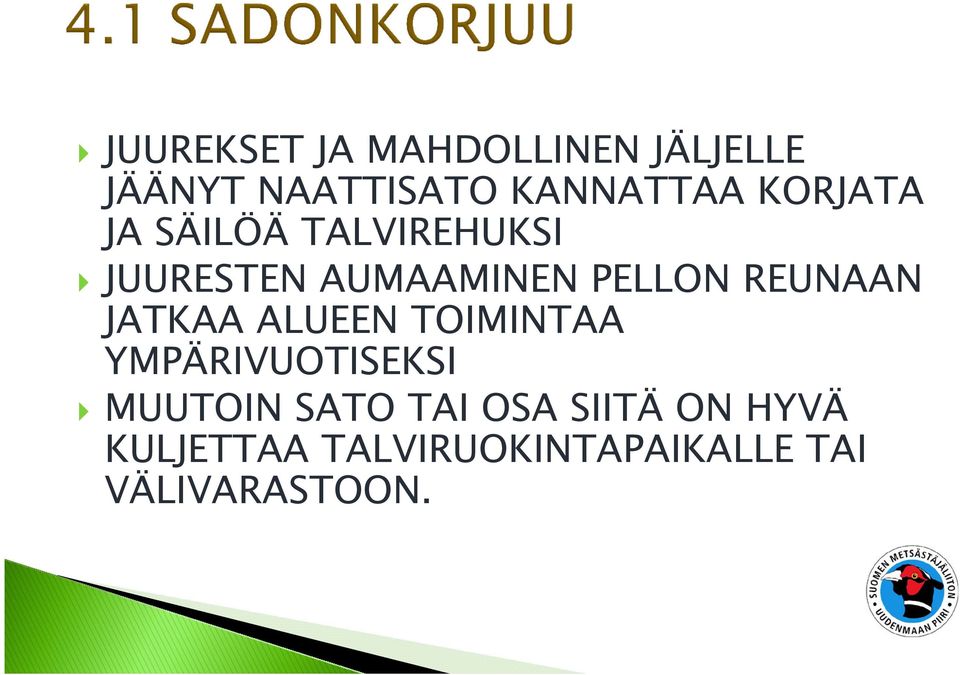 REUNAAN JATKAA ALUEEN TOIMINTAA YMPÄRIVUOTISEKSI MUUTOIN SATO