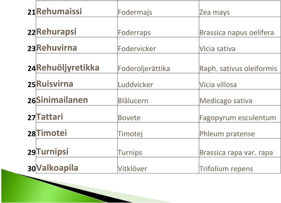 sativus oleiformis 25Ruisvirna Luddvicker Vicia villosa 26Sinimailanen Blålucern Medicago sativa