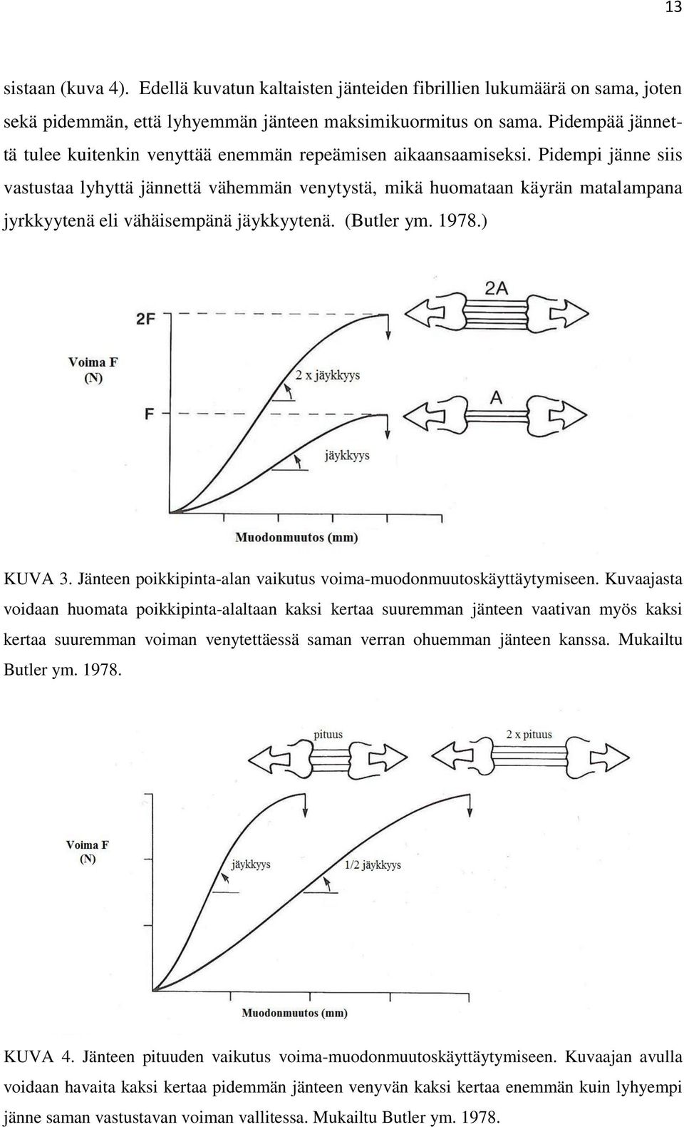 Pidempi jänne siis vastustaa lyhyttä jännettä vähemmän venytystä, mikä huomataan käyrän matalampana jyrkkyytenä eli vähäisempänä jäykkyytenä. (Butler ym. 1978.) KUVA 3.