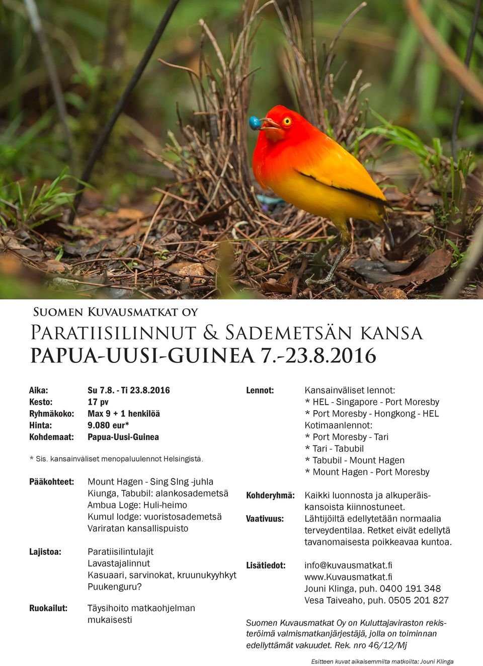 Pääkohteet: Lajistoa: Ruokailut: Mount Hagen - Sing SIng -juhla Kiunga, Tabubil: alankosademetsä Ambua Loge: Huli-heimo Kumul lodge: vuoristosademetsä Variratan kansallispuisto Paratiisilintulajit