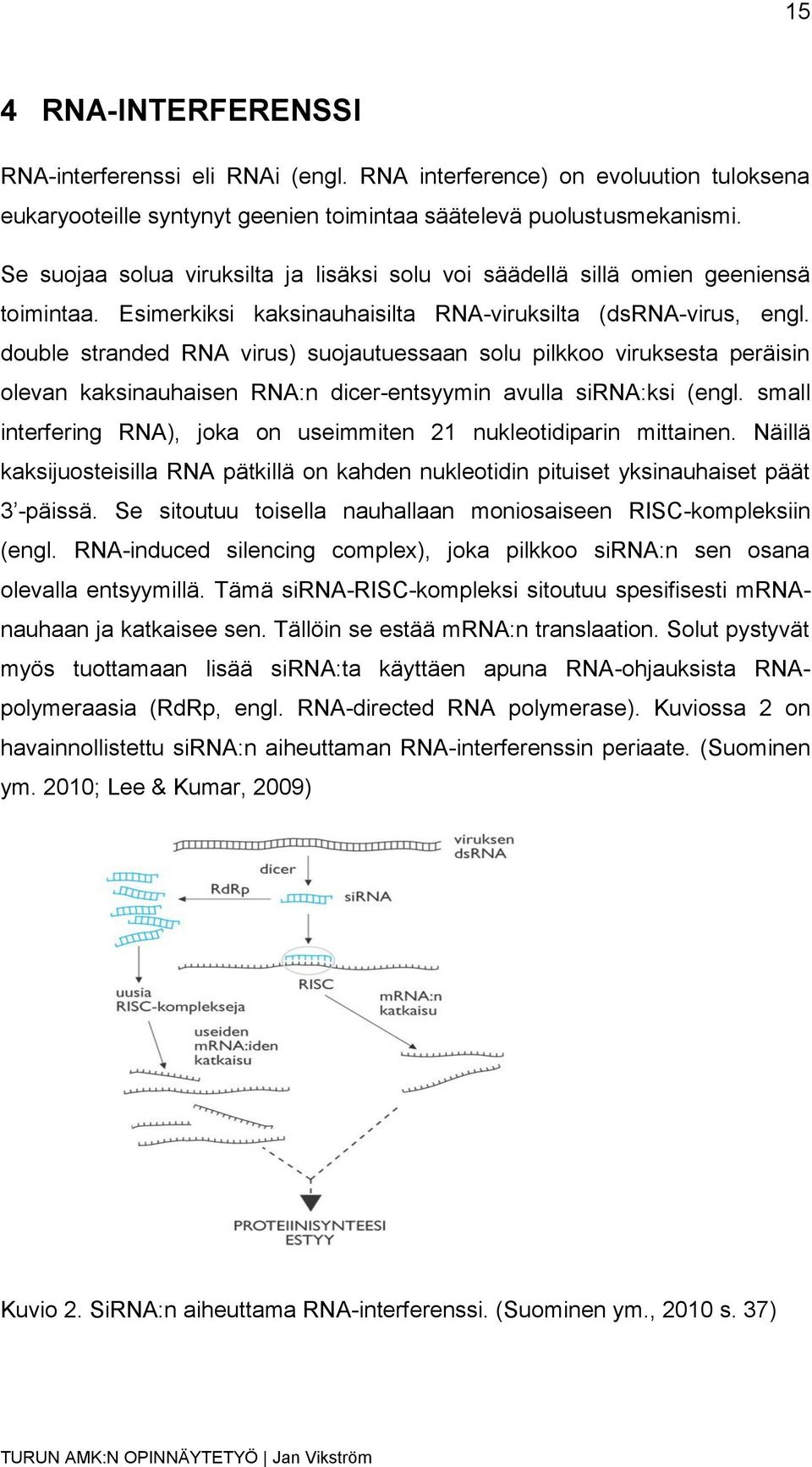 double stranded RNA virus) suojautuessaan solu pilkkoo viruksesta peräisin olevan kaksinauhaisen RNA:n dicer-entsyymin avulla sirna:ksi (engl.
