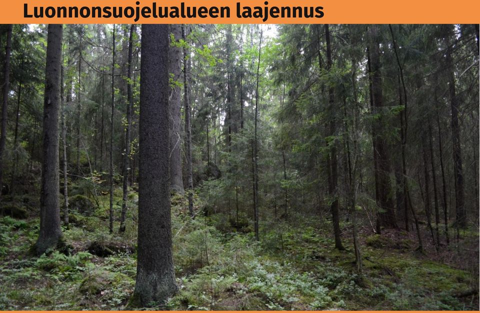 Ekologiset edellytykset Multisillan metsiä on pitkälle hoidettu metsätaloudellisilla toimenpiteillä, mikä on lisännyt metsien arvoja ulkoilulle ja virkistäytymiselle, mutta toisaalta heikentänyt