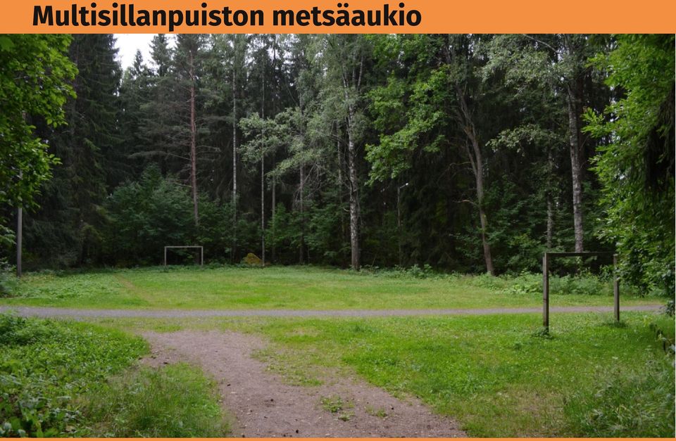 Asukkaat pitivät hyvänä ajatuksena esimerkiksi alueen käyttämistä kaupunkiviljelyyn tai marja- ja hedelmäkasvien istuttamiseen: Tohon voisi laittaa vaikka omenapuita.