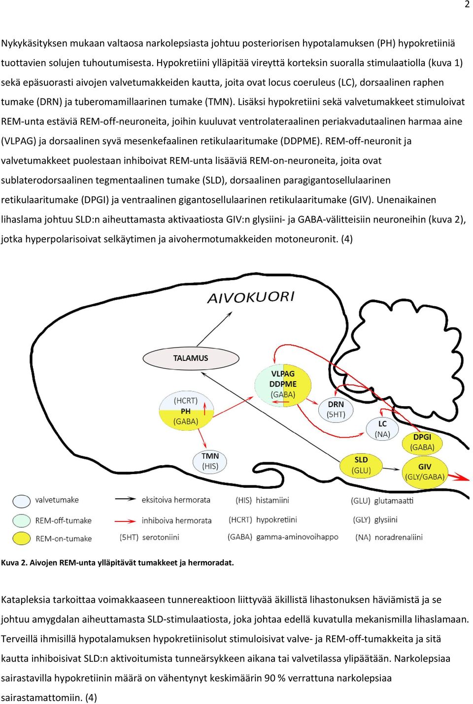 tuberomamillaarinen tumake (TMN).