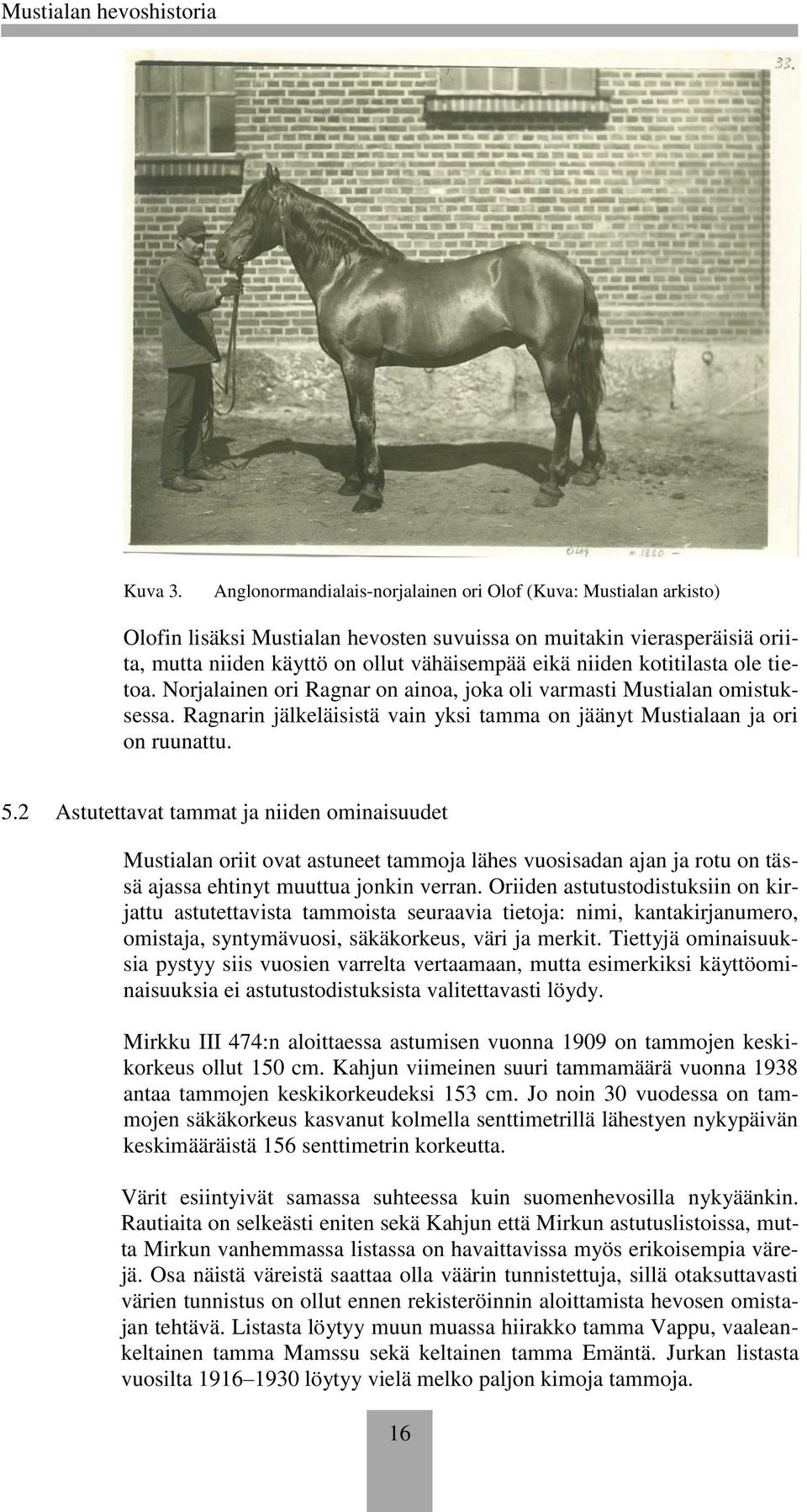 kotitilasta ole tietoa. Norjalainen ori Ragnar on ainoa, joka oli varmasti Mustialan omistuksessa. Ragnarin jälkeläisistä vain yksi tamma on jäänyt Mustialaan ja ori on ruunattu. 5.