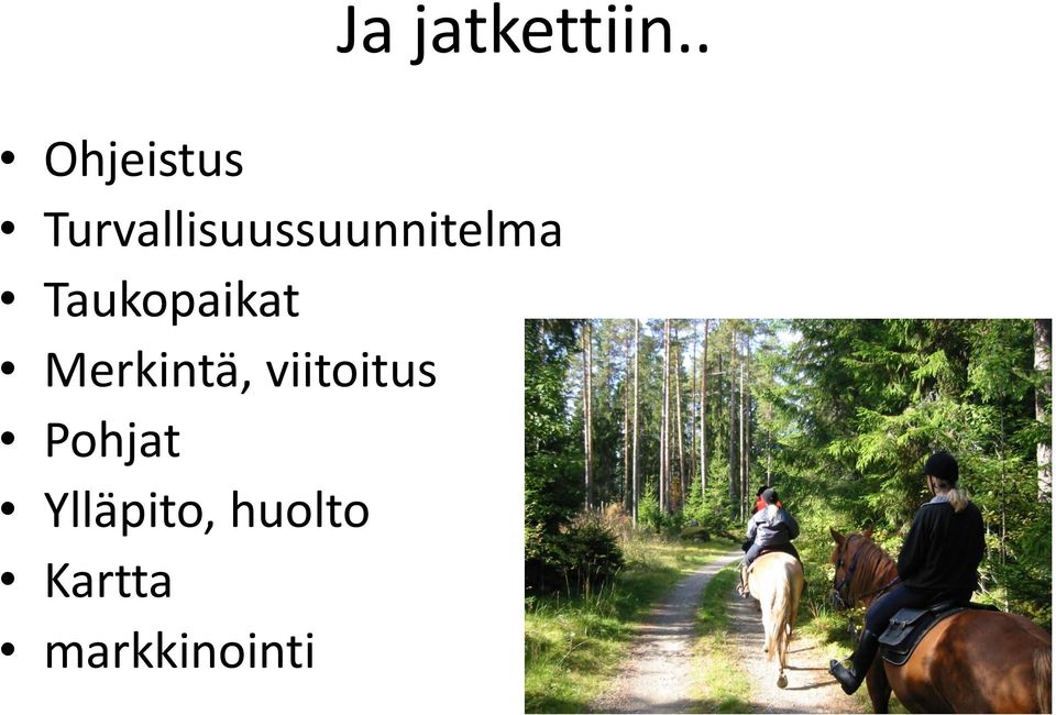 Turvallisuussuunnitelma