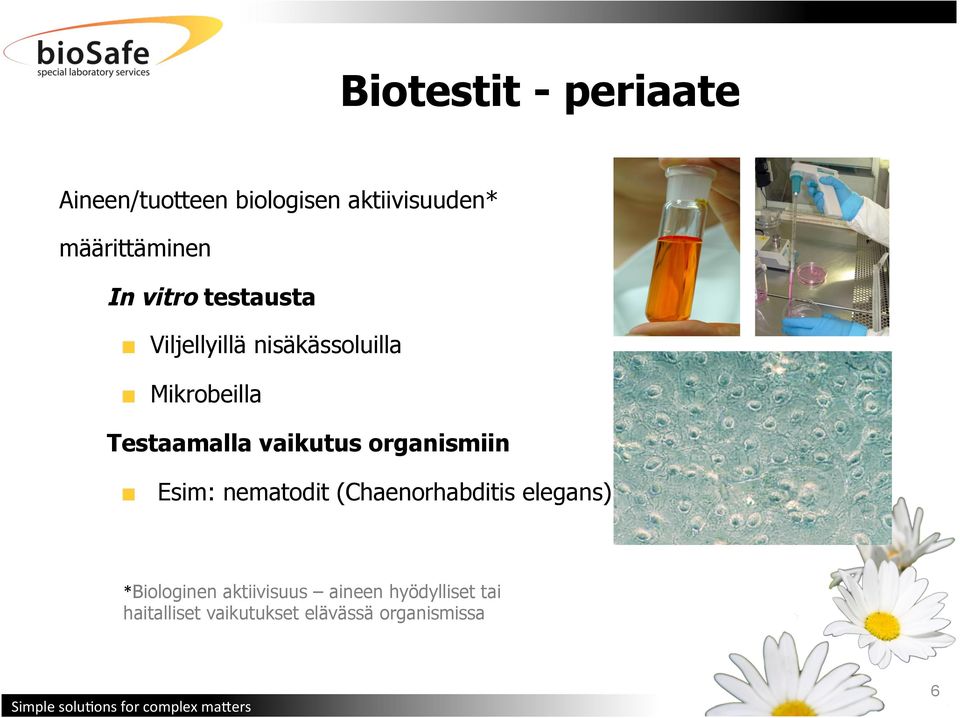 vaikutus organismiin " Esim: nematodit (Chaenorhabditis elegans) *Biologinen