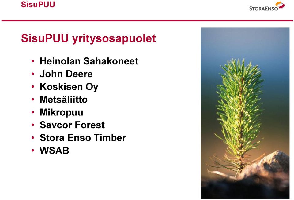Koskisen Oy Metsäliitto Mikropuu