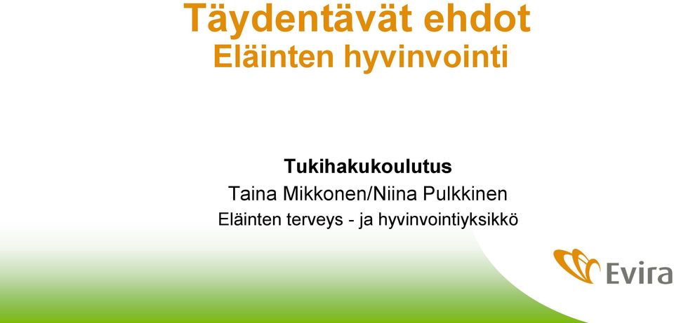 Taina Mikkonen/Niina Pulkkinen