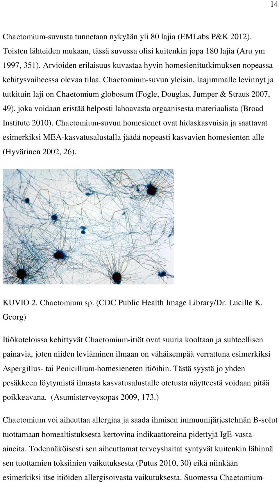 Chaetomium-suvun yleisin, laajimmalle levinnyt ja tutkituin laji on Chaetomium globosum (Fogle, Douglas, Jumper & Straus 2007, 49), joka voidaan eristää helposti lahoavasta orgaanisesta materiaalista