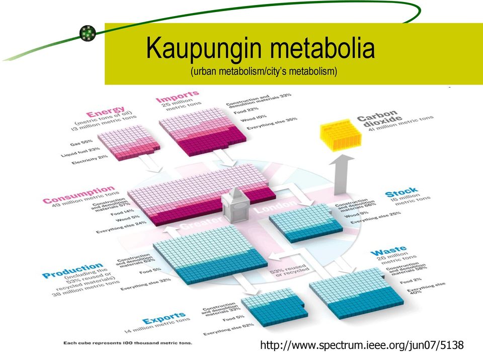 s metabolism)