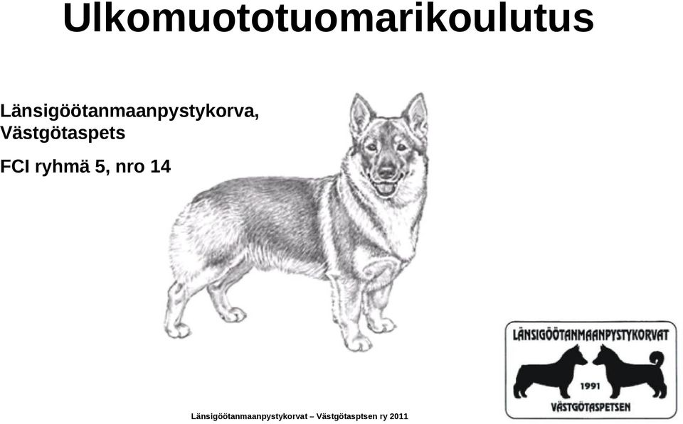 Västgötaspets FCI ryhmä 5, nro 14