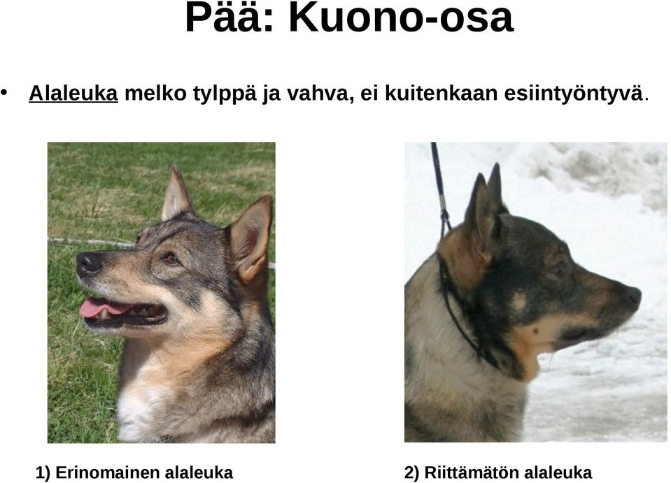 esiintyöntyvä.