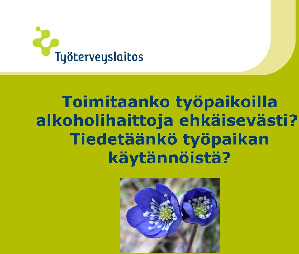 alkoholihaittoja