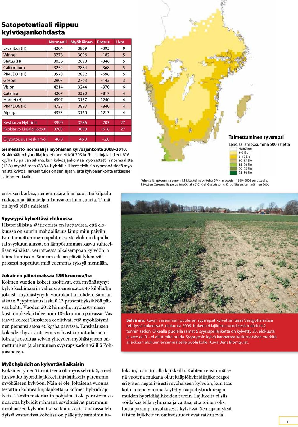 Keskiarvo Linjalajikkeet 3705 3090 616 27 Öljypitoisuus keskiarvo 48,0 46,0 2,0 Siemensato, normaali ja myöhäinen kylvöajankohta 2008 2010.