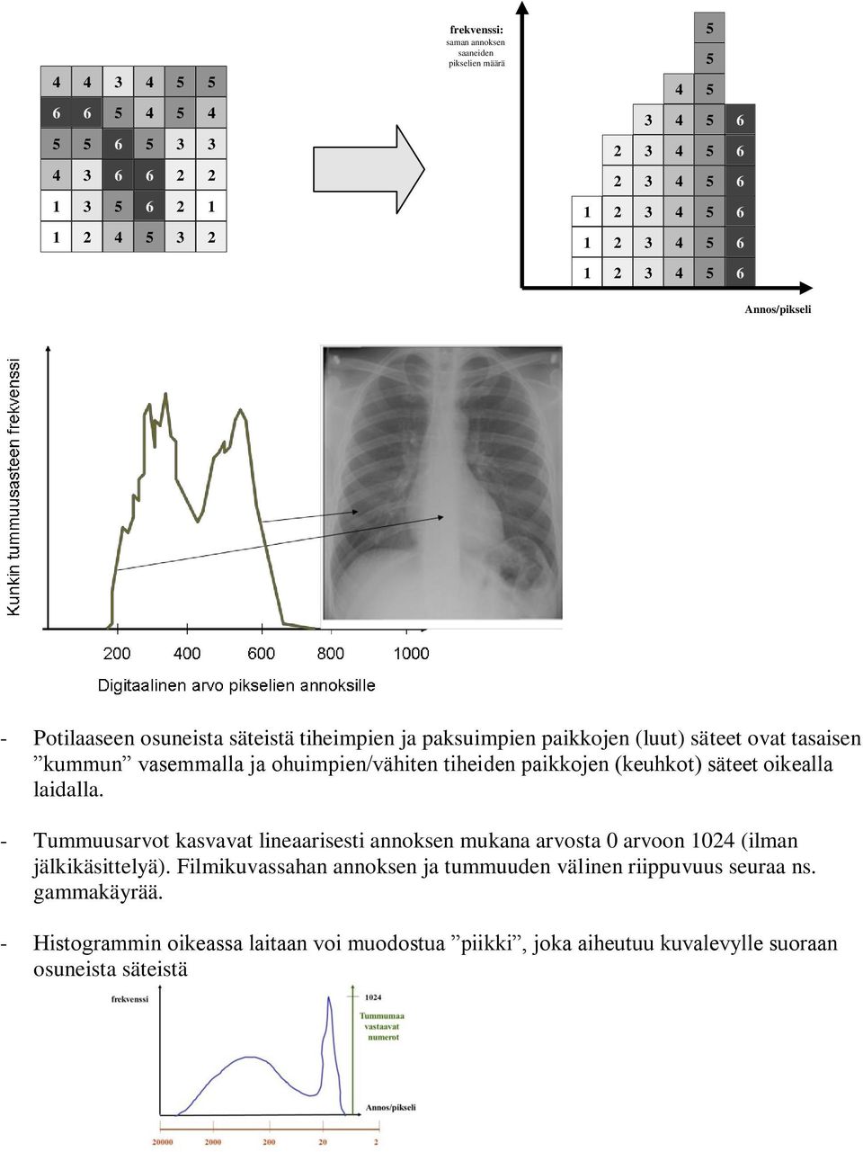 paikkojen (keuhkot) säteet oikealla laidalla. - Tummuusarvot kasvavat lineaarisesti annoksen mukana arvosta 0 arvoon 1024 (ilman jälkikäsittelyä).