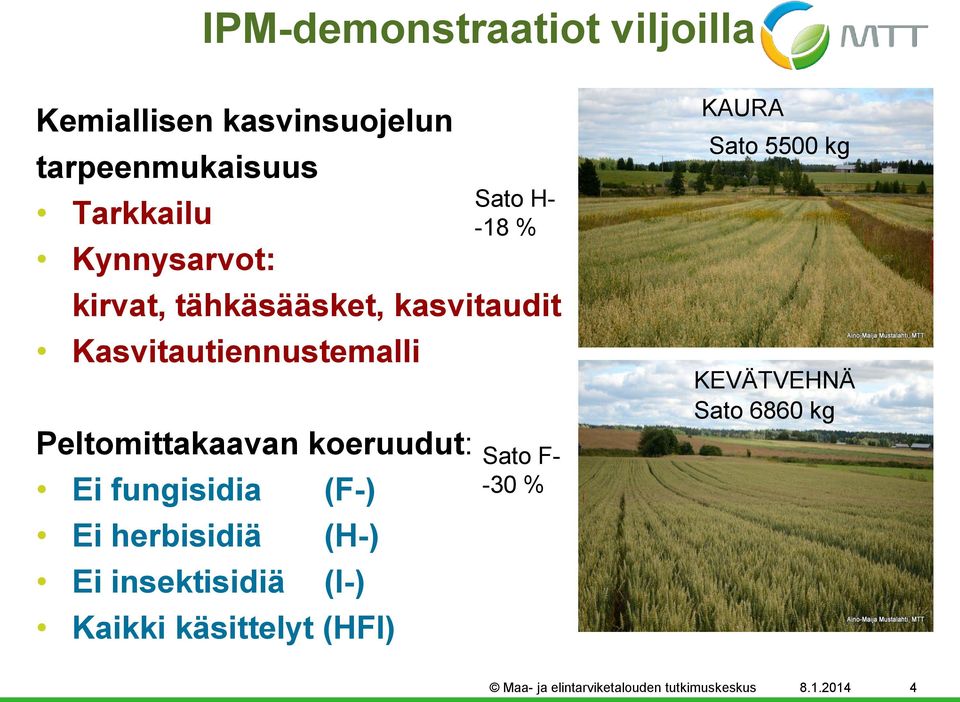 fungisidia (F-) Ei herbisidiä (H-) Ei insektisidiä (I-) Kaikki käsittelyt (HFI) Sato H- -18 %