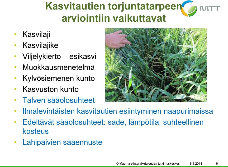 Ilmalevintäisten kasvitautien esiintyminen naapurimaissa Edeltävät sääolosuhteet: sade,