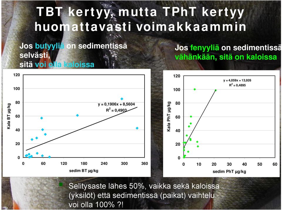 Kala BT µg/kg 100 y = 0,1906x + 8,5604 2 R = 0,4903 60 40 20 80 60 40 20 0 0 0 60 120 180 sedim BT µg/kg 240 300 360 0 10 20