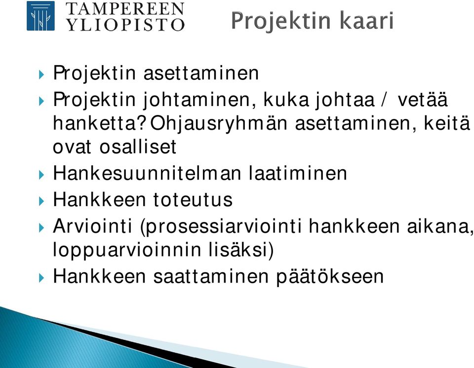 Ohjausryhmän asettaminen, keitä ovat osalliset Hankesuunnitelman