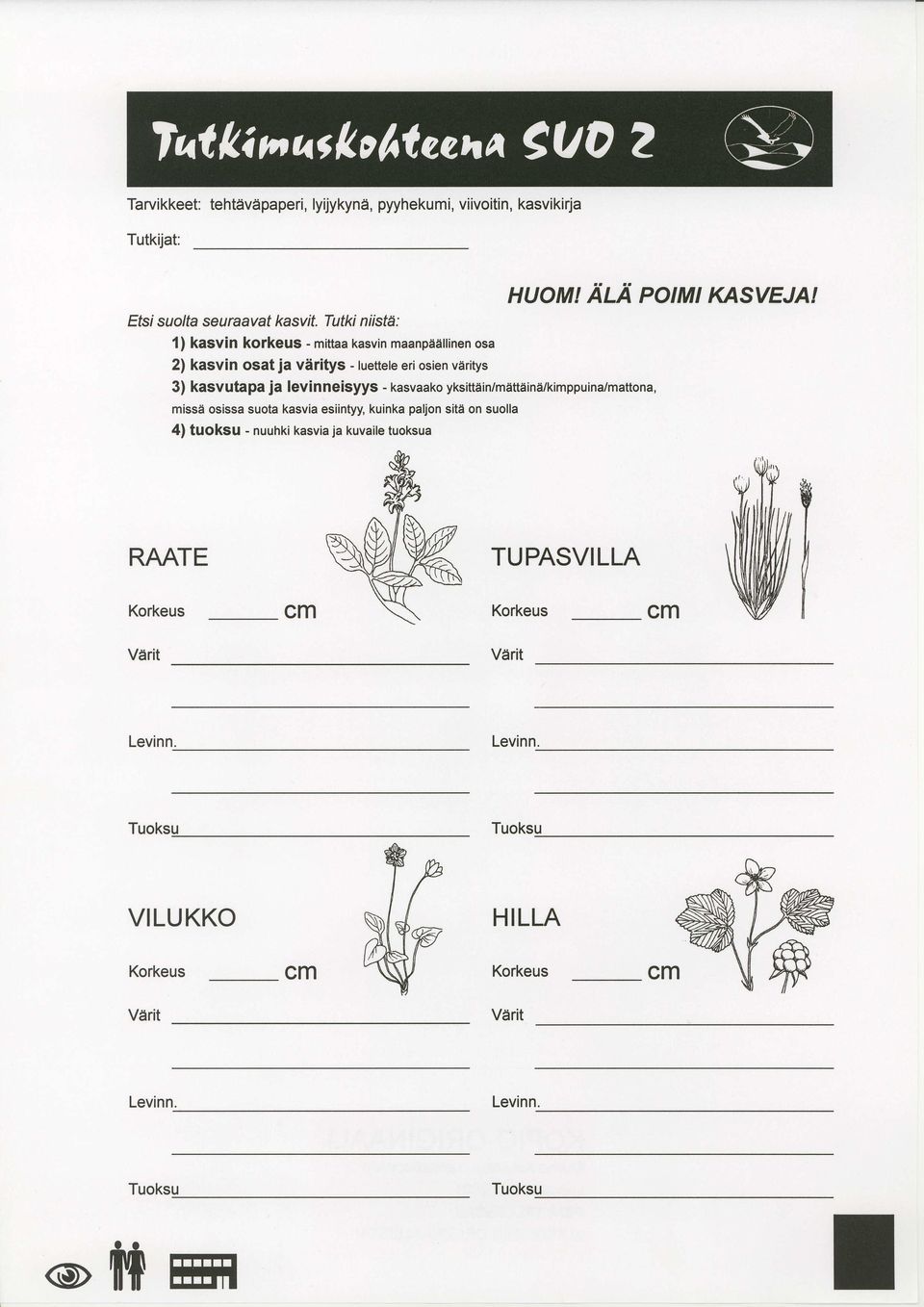 Tutki niistd: 1) kasvin korkeus - mittaa kasvin maanpeillinen osa 2) kasvin osat ja vdritys - luetteleri osien varitys 3) kasvutapa ja