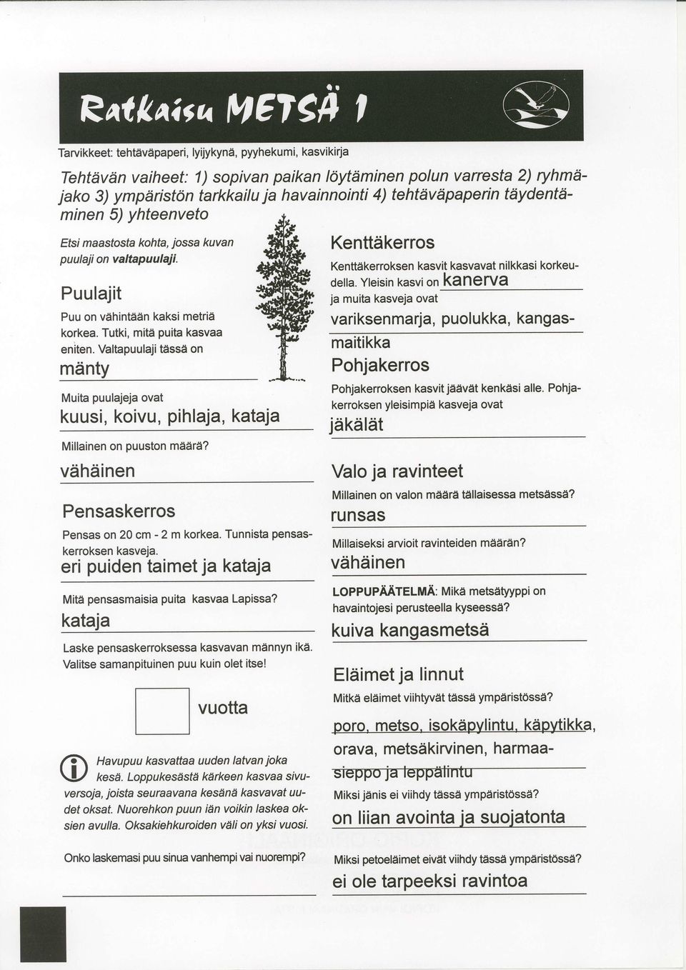 Valtapuulaji tasse on mdnty Muita puulajeja ovat kuusi, koivu, pihlaja, kataja Millainen on puuston maare? vdhdinen Pensaskerros Pensas on 20 cm - 2 m korkea. Tunnista pensaskerroksen kasveja.