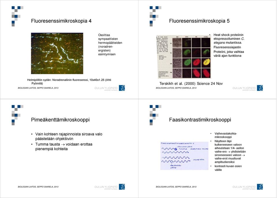 (2000) Science 24 Nov Pimeäkenttämikroskooppi Faasikontrastimikroskooppi Vain kohteen rajapinnoista siroava valo päästetään ohjektiiviin Tumma tausta voidaan erottaa pienempiä