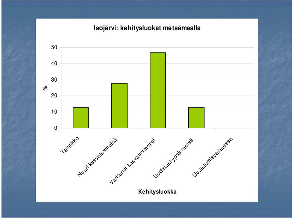 Varttunut kasvatusmetsä Uudistuskypsä