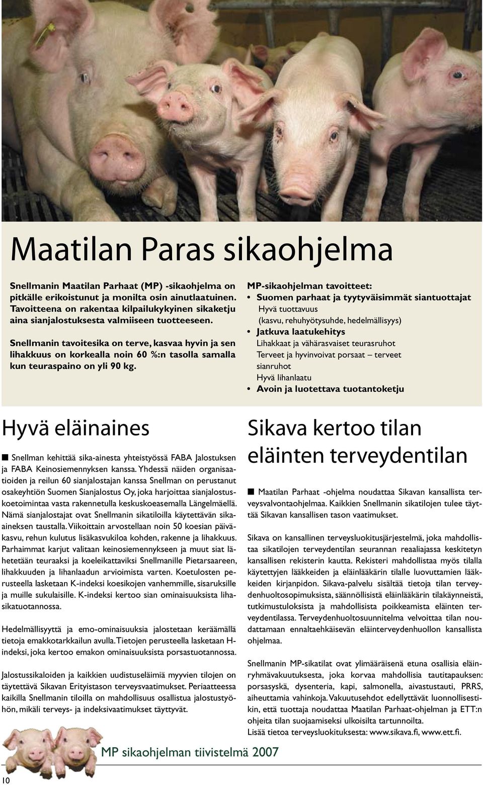Snellmanin tavoitesika on terve, kasvaa hyvin ja sen lihakkuus on korkealla noin 60 %:n tasolla samalla kun teuraspaino on yli 90 kg.
