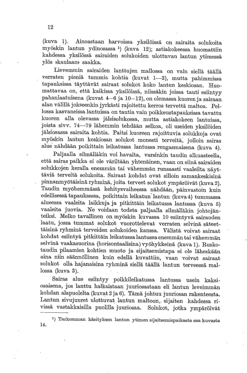 saakka. Lievemmin sairaiden lanttujen mallossa on vain siellä täällä verraten pieniä tummia kohtia (kuvat 1-3), mutta pahimmissa tapauksissa täyttävät sairaat solukot koko lantun keskiosan.