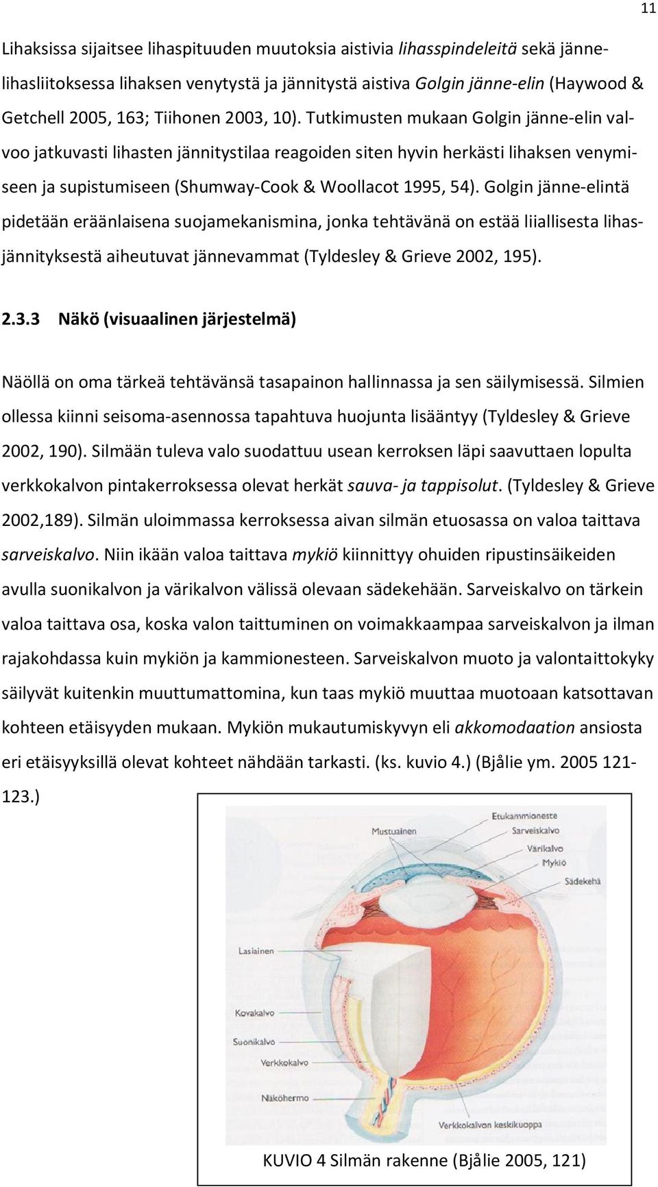 Golgin jänne-elintä pidetään eräänlaisena suojamekanismina, jonka tehtävänä on estää liiallisesta lihasjännityksestä aiheutuvat jännevammat (Tyldesley & Grieve 2002, 195). 2.3.