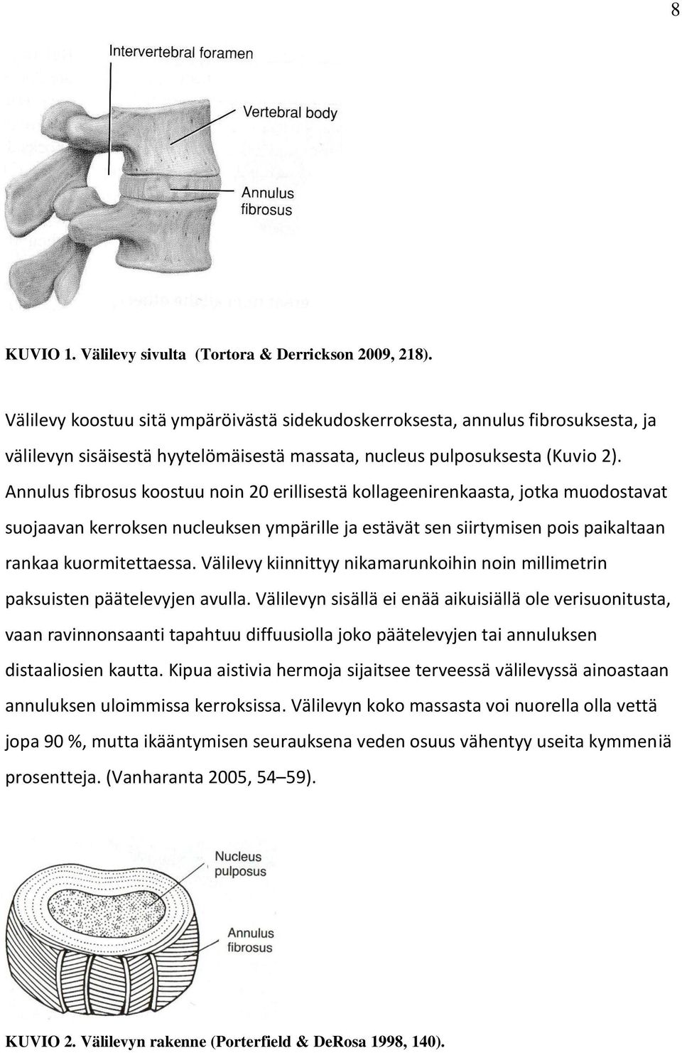 Annulus fibrosus koostuu noin 20 erillisestä kollageenirenkaasta, jotka muodostavat suojaavan kerroksen nucleuksen ympärille ja estävät sen siirtymisen pois paikaltaan rankaa kuormitettaessa.