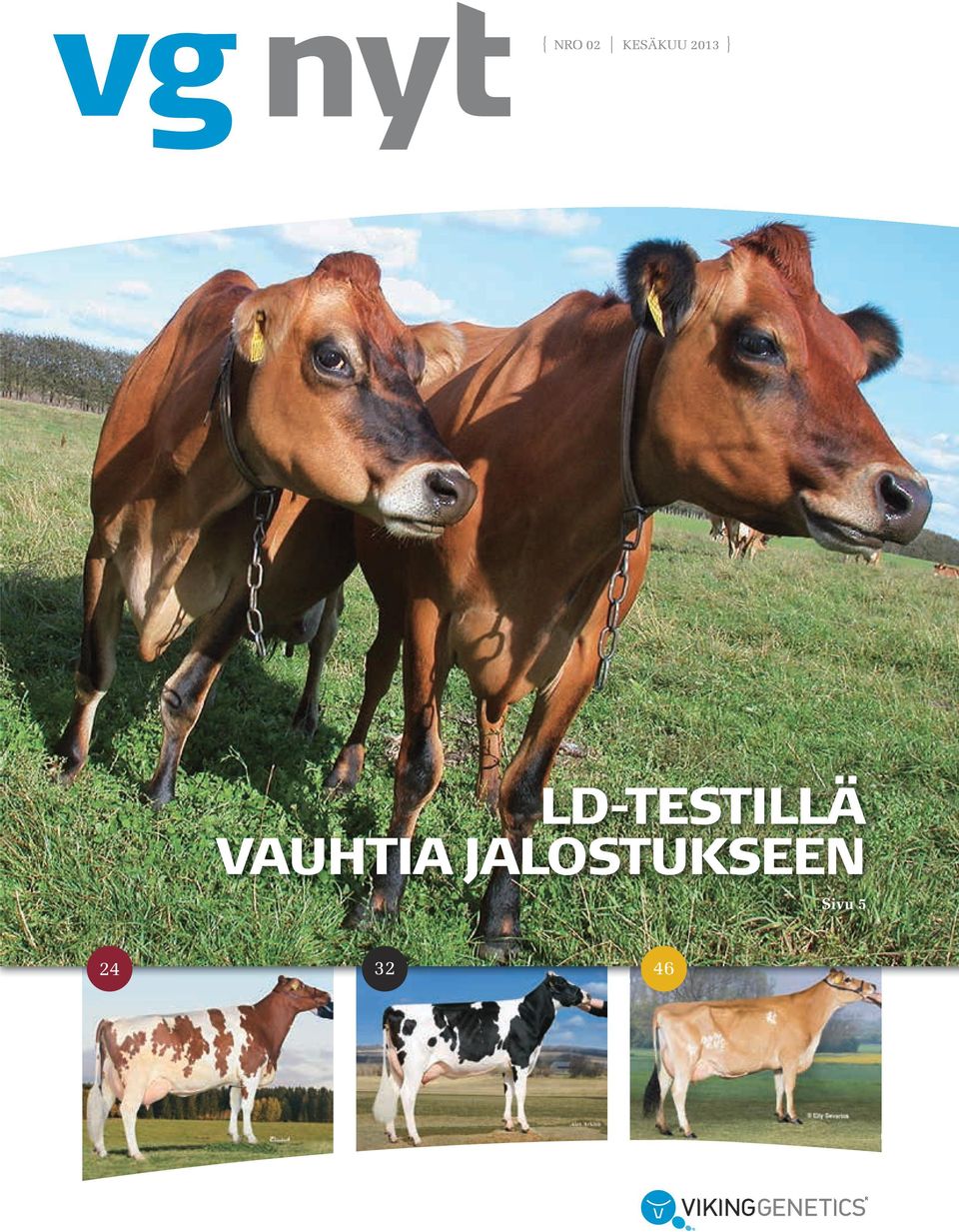 LD-TESTILLÄ