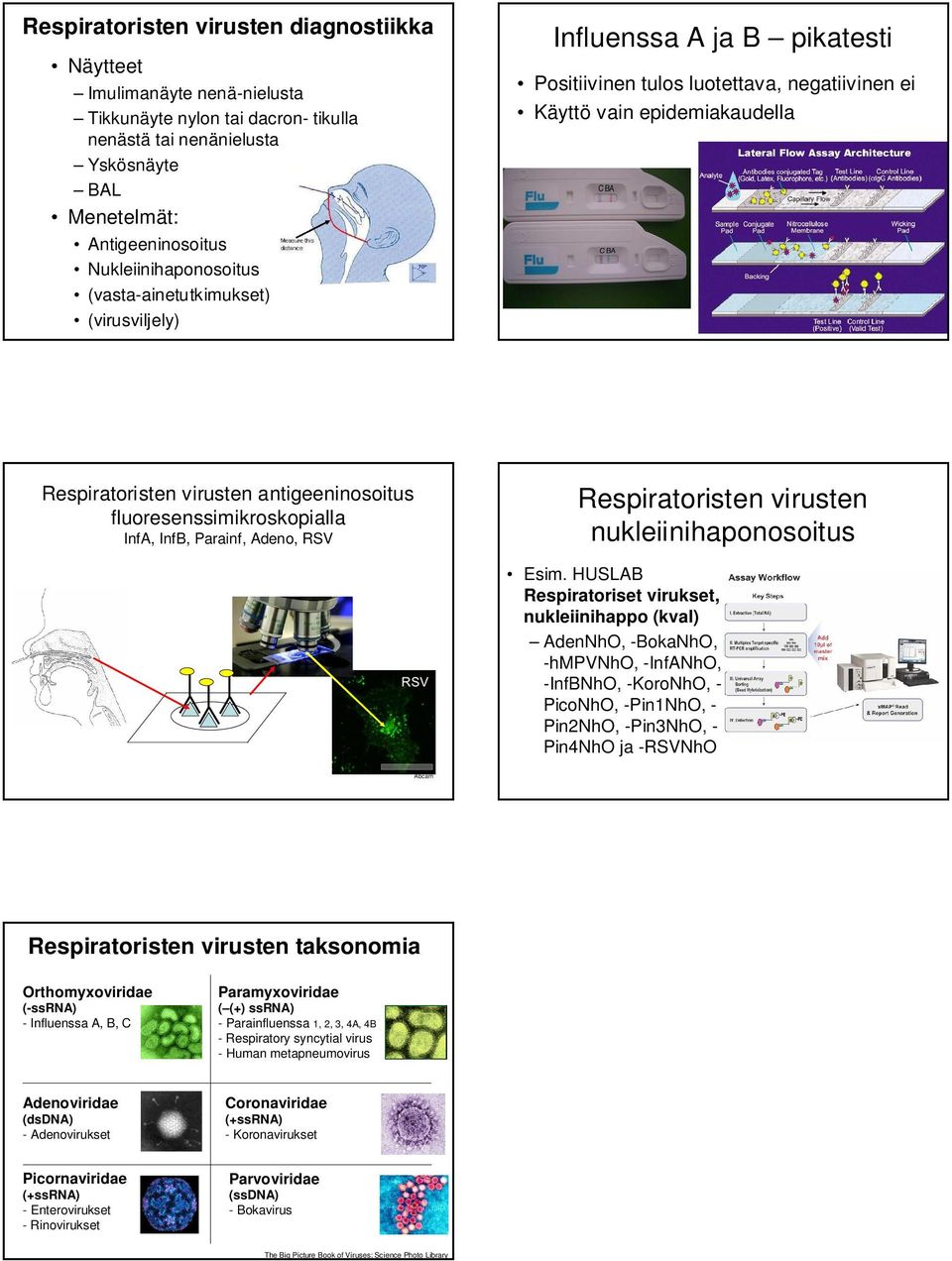 Respiratoristen virusten antigeeninosoitus fluoresenssimikroskopialla InfA, InfB, Parainf, Adeno, RSV Respiratoristen virusten nukleiinihaponosoitus Esim.