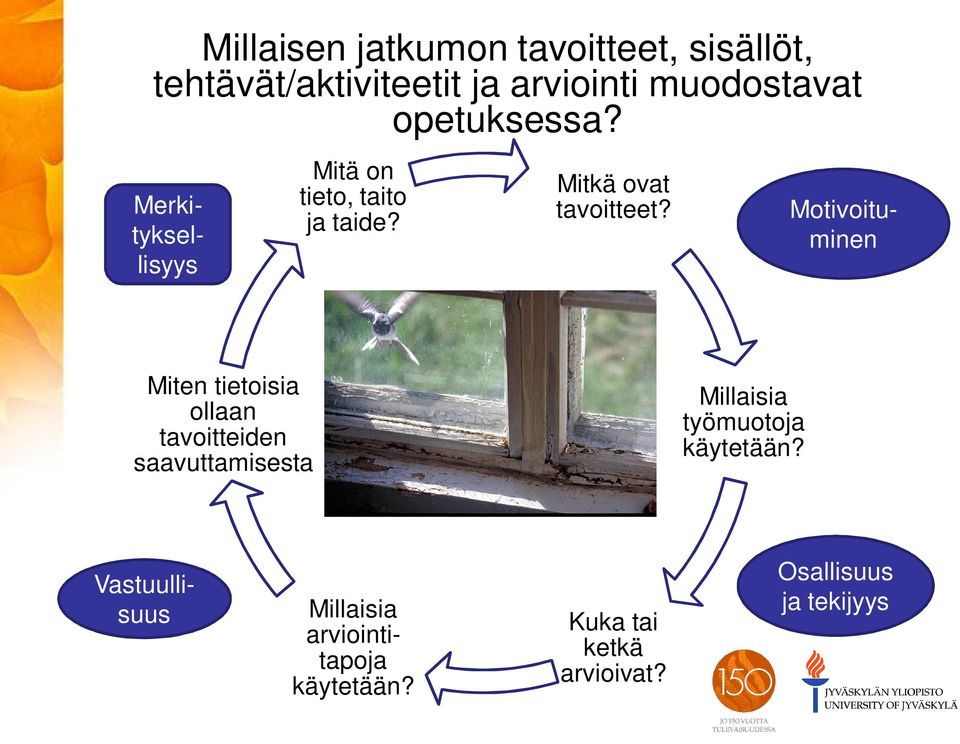 Mitkä ovat tavoitteet?
