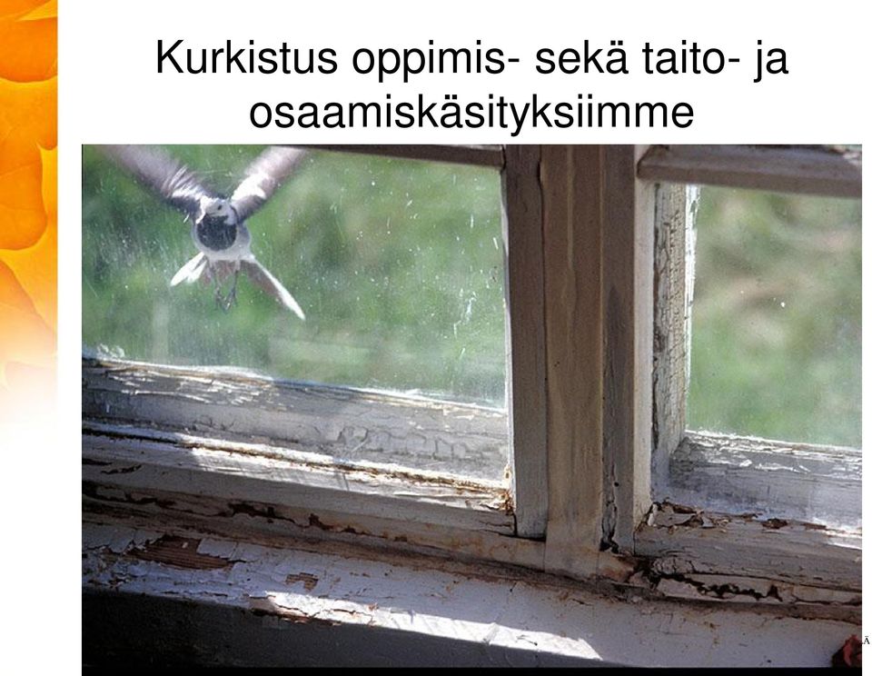 taito- ja