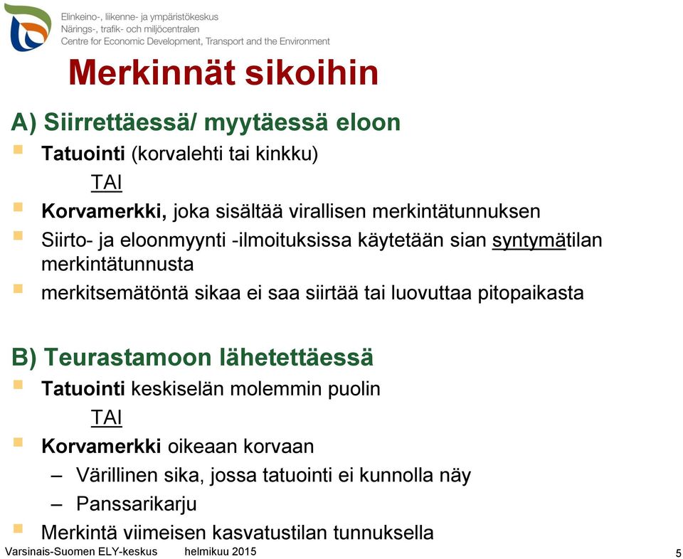 merkitsemätöntä sikaa ei saa siirtää tai luovuttaa pitopaikasta B) Teurastamoon lähetettäessä Tatuointi keskiselän molemmin