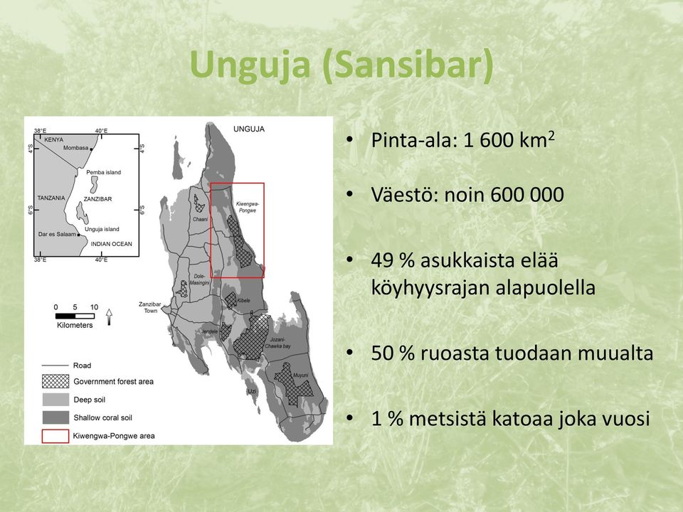 köyhyysrajan alapuolella 50 % ruoasta