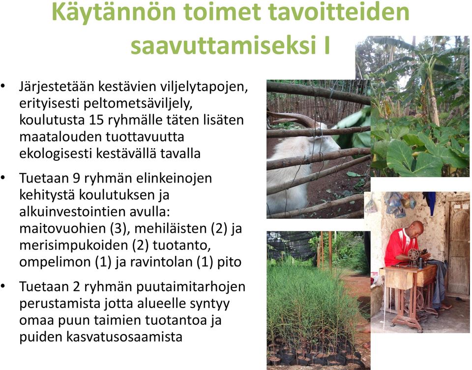 koulutuksen ja alkuinvestointien avulla: maitovuohien (3), mehiläisten (2) ja merisimpukoiden (2) tuotanto, ompelimon (1) ja