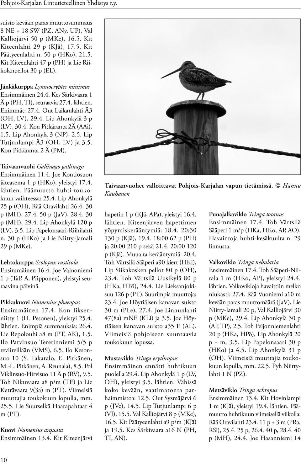 4. Lip Ahonkylä 3 p (LV), 30.4. Kon Pitkäranta 2Ä (AAi), 1.5. Lip Ahonkylä 3 (NP), 2.5. Lip Tutjunlampi Ä3 (OH, LV) ja 3.5. Kon Pitkäranta 2 Ä (PM). Taivaanvuohi Gallinago gallinago Ensimmäinen 11.4. Joe Kontiosuon jäteasema 1 p (HKo), yleistyi 17.