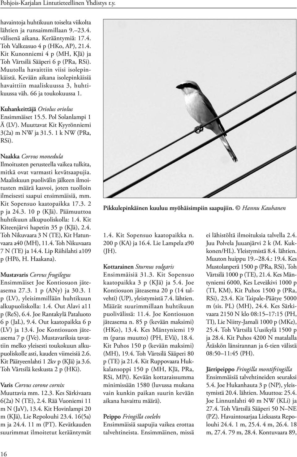 5. Pol Solanlampi 1 Ä (LV). Muuttavat Kit Kyyrönniemi 3(2a) m NW ja 31.5. 1 k NW (PRa, RSi). Naakka Corvus monedula Ilmoitusten perusteella vaikea tulkita, mitkä ovat varmasti kevätsaapujia.