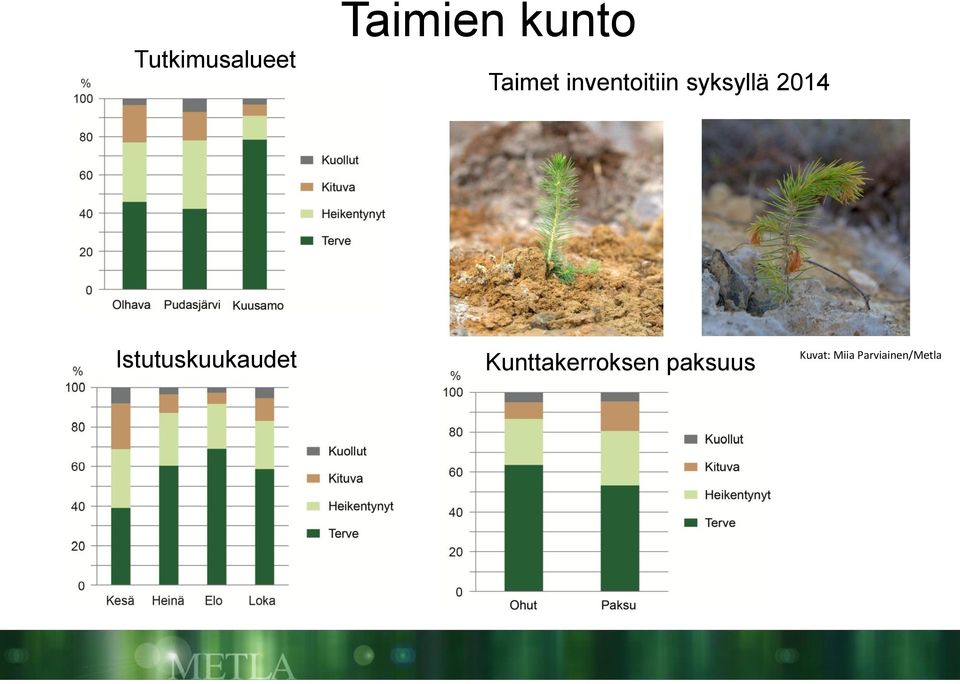 Istutuskuukaudet Istutuskuukaudet